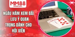 Ngầu Hầm Xem Bài - Lưu Ý Quan Trọng Dành Cho Hội Viên